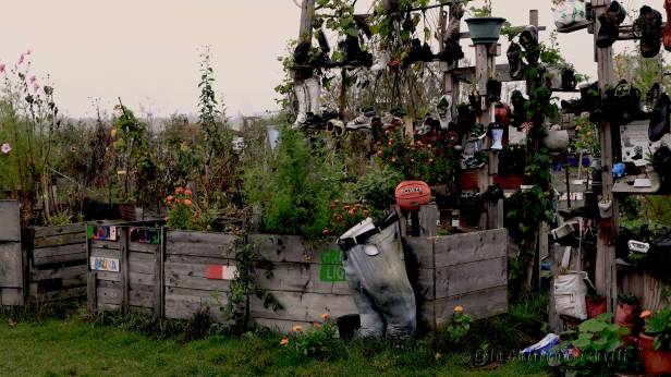 Strebergarten Berlin Tempelhofer Feld
