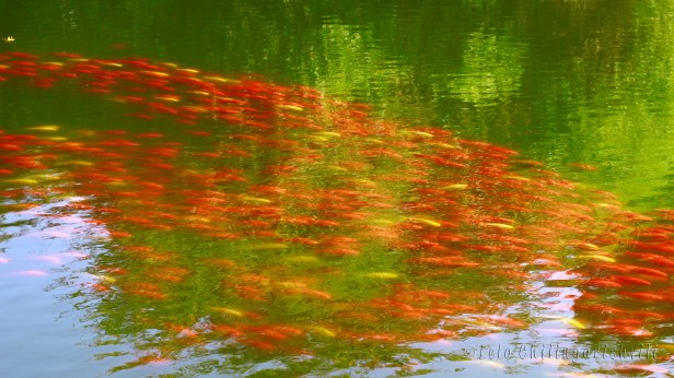 natur-berlin
