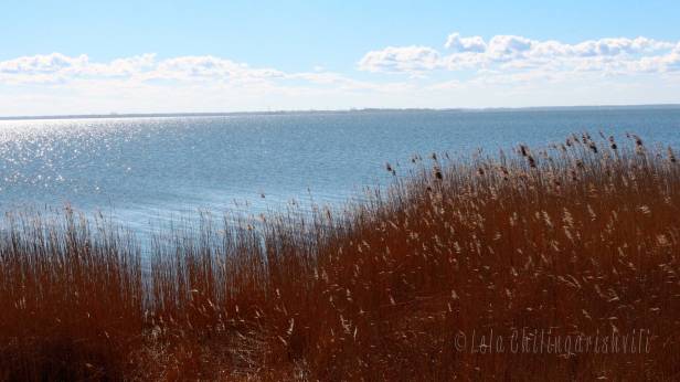 ostsee1